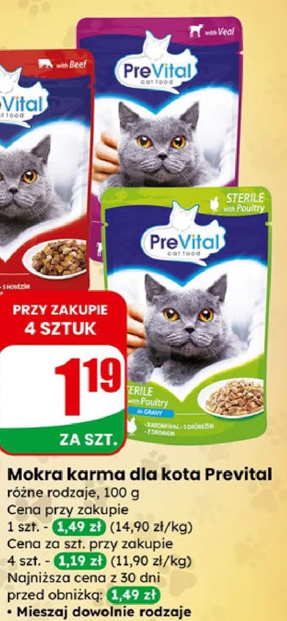 mokra karma dla kota różne rodzaje