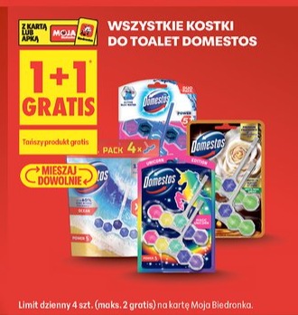 wszystkie kostki do toalet