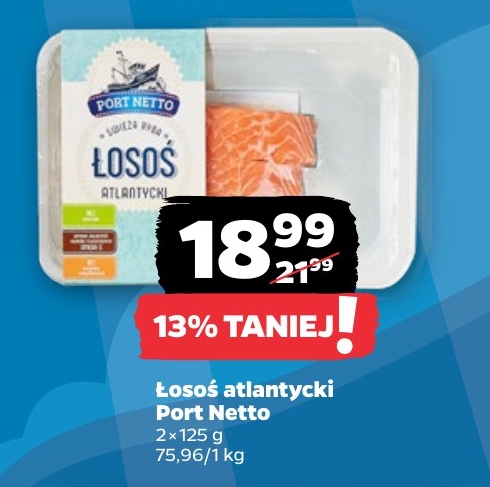 łosoś atlantycki