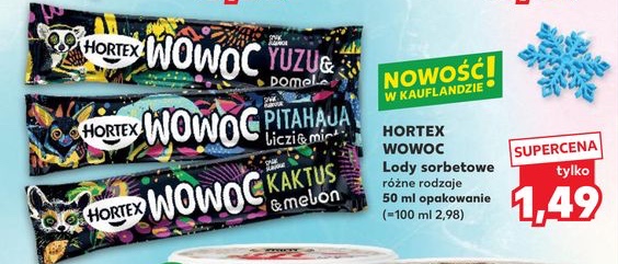 lody sorbetowe różne rodzaje