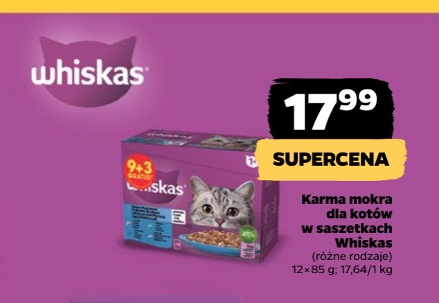 karma mokra dla kotów w saszetkach