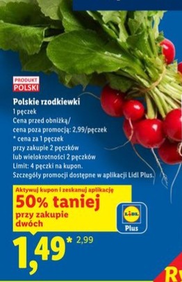 rzodkiewki