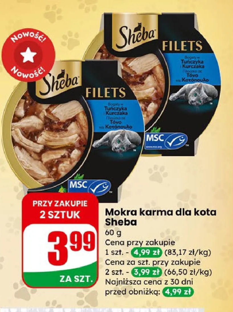 mokra karma dla kota filets