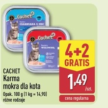 karma mokra dla kota