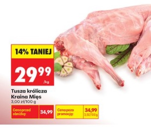tusza królika