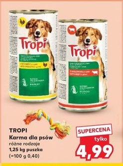 karma dla psów