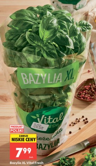 bazylia