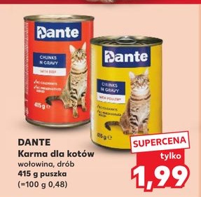 karma dla kotów