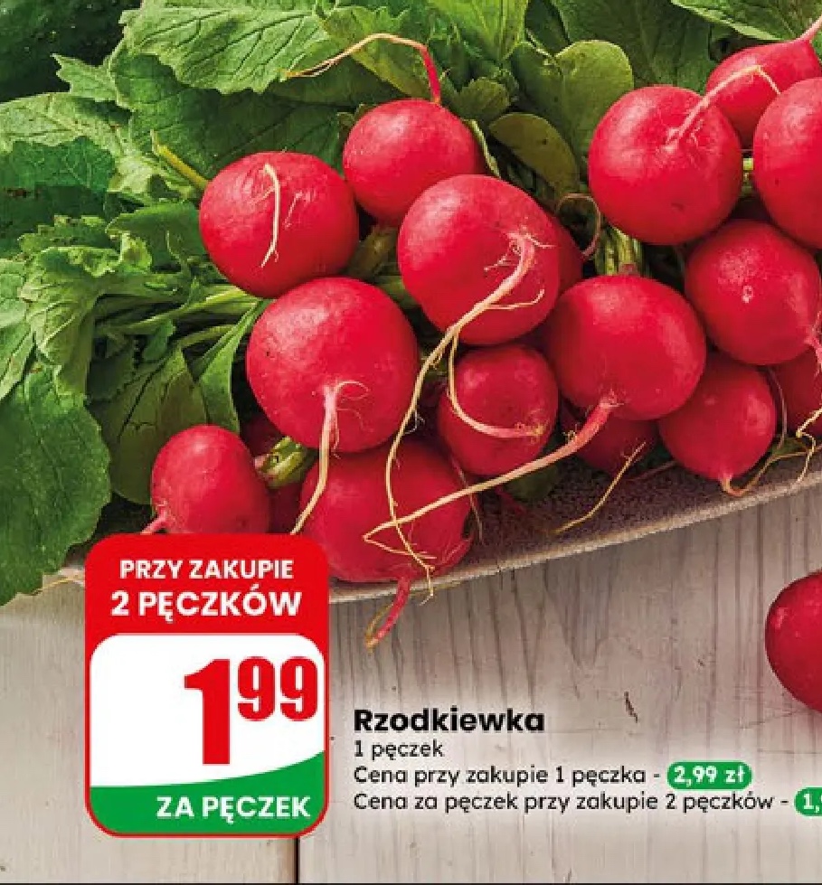 rzodkiewka