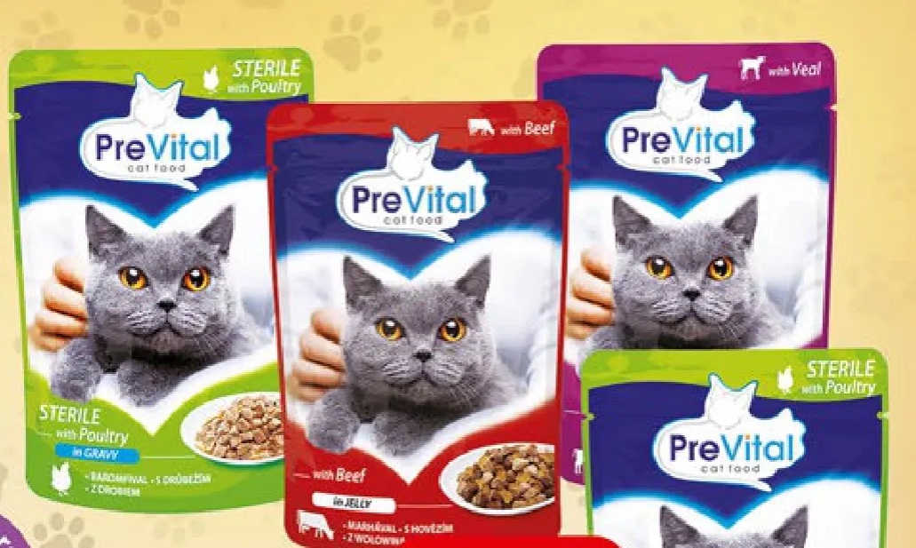 mokra karma dla kota różne rodzaje