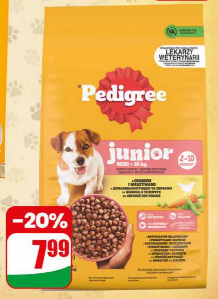 sucha karma dla psa junior