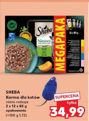 karma dla kotów różne rodzaje