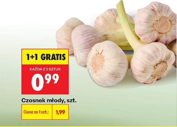 czosnek młody