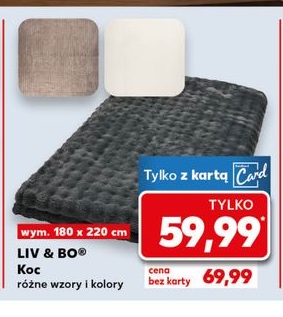 koc różne wzory i kolory