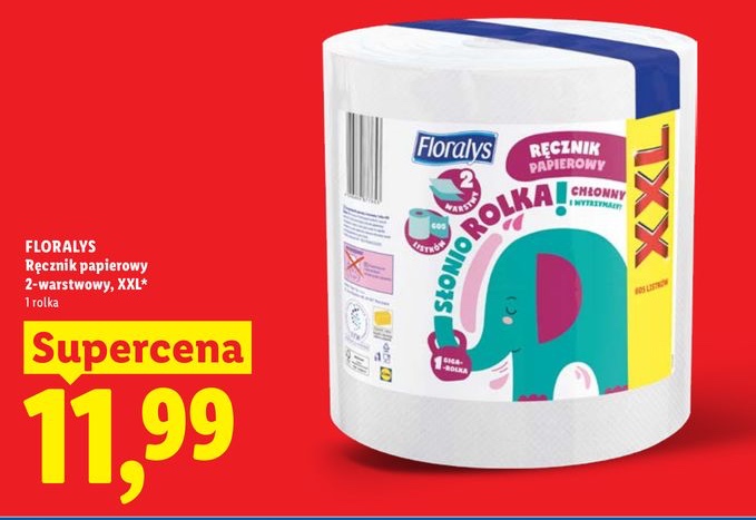 ręcznik papierowy 2-warstwowy