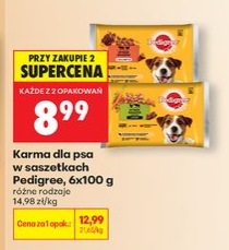 karma dla psa w saszetkach