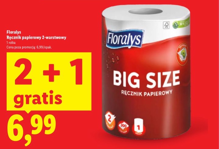 ręcznik papierowy 2-warstwowy