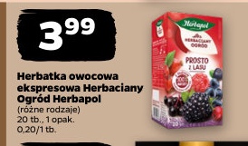 herbatka owocowa ekspresowa