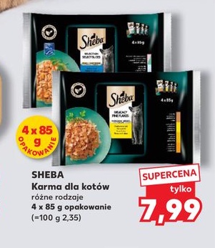 karma dla kotów różne rodzaje