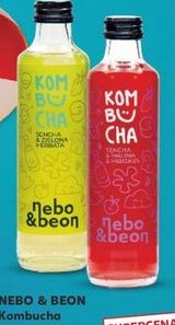 kombucha