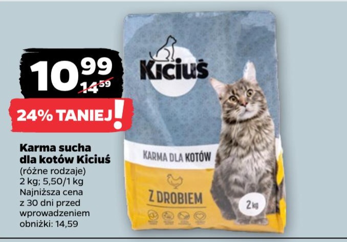 Karma sucha dla kotów
