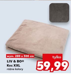 koc XXL różne kolory