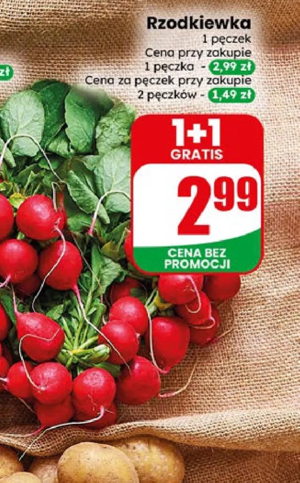 rzodkiewka