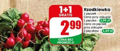 rzodkiewka
