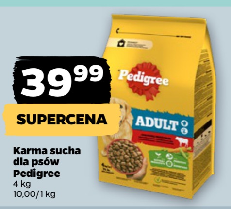 karma sucha dla psów