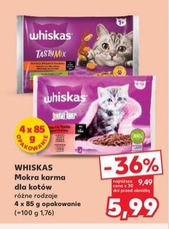 mokra karma dla kotów