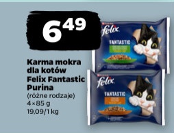 karma mokra dla kotów