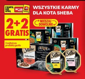 wszystkie karmy dla kota