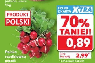 rzodkiewka