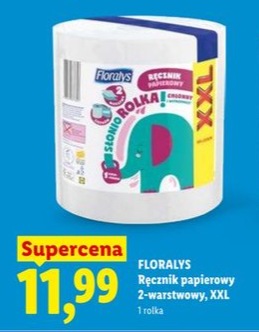 ręcznik papierowy 2-warstwowy XXL