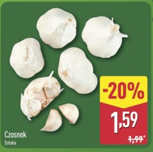 czosnek