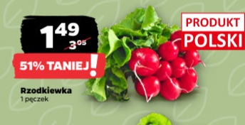 rzodkiewka