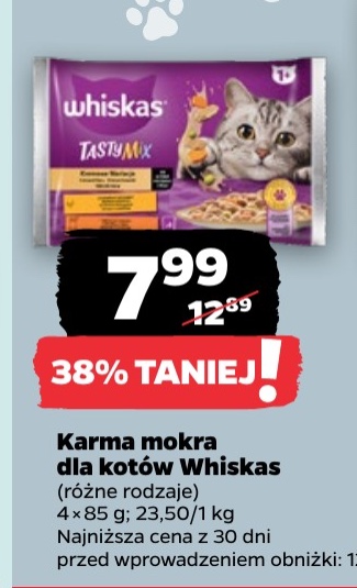 karma mokra dla kotów