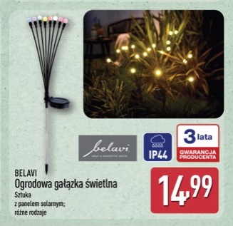ogrodowa gałązka świetlna