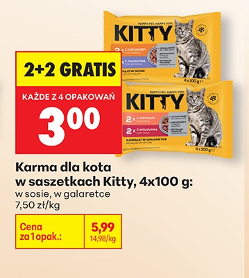 karma dla kota w saszetkach w sosie w galarecie