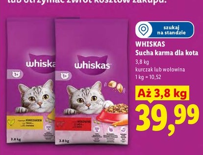 sucha karma dla kota kurczak lub wołowina