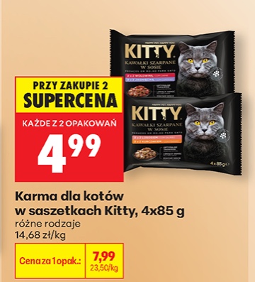 karma dla kotów w saszetkach różne rodzaje
