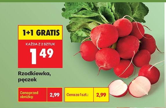 rzodkiewka