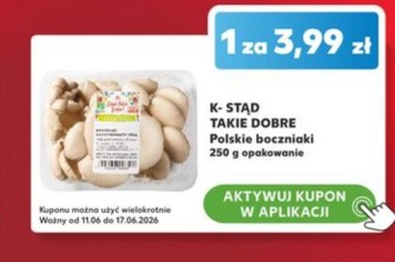 polskie boczniaki