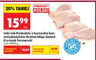 udo lub podudzie z kurczaka bez antybiotyków
