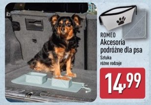 akcesoria podróżne dla psa