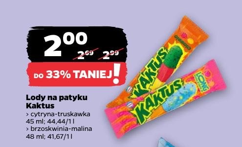 lody na patyku kaktus