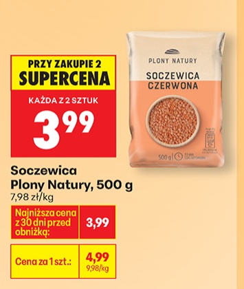 soczewica czerwona