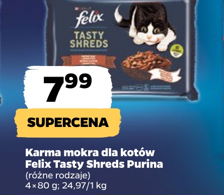 karma mokra dla kotów