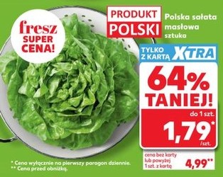 sałata masłowa