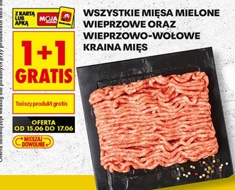 wszystkie mięsa mielone wieprzowe oraz wieprzowo-wołowe